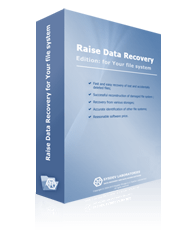 Raise Data Recovery