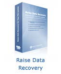 Raise Data Recovery