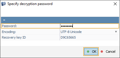 window specify decryption password in ufs explorer program interface