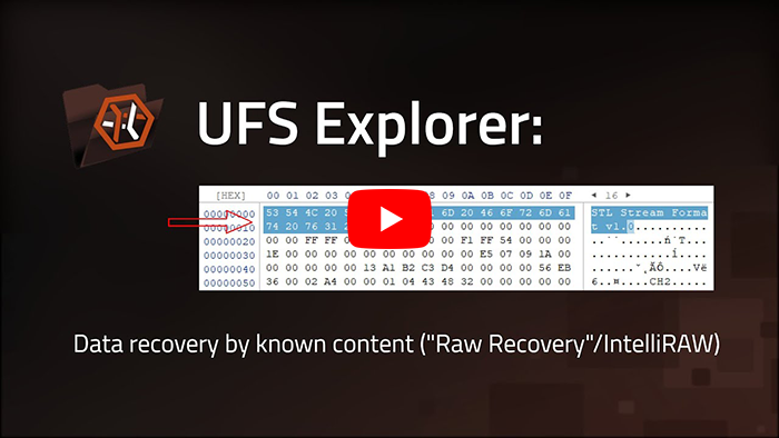 preview image of video tutorial of setting up custom search rules in ufs explorer software
