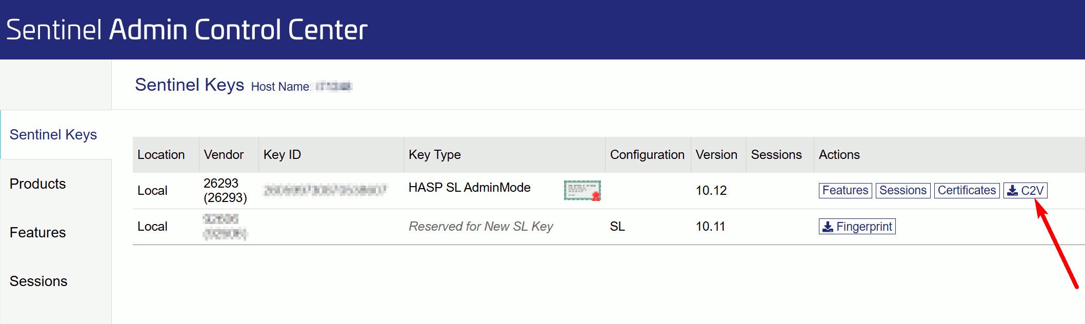 License manager web interface: connected keys